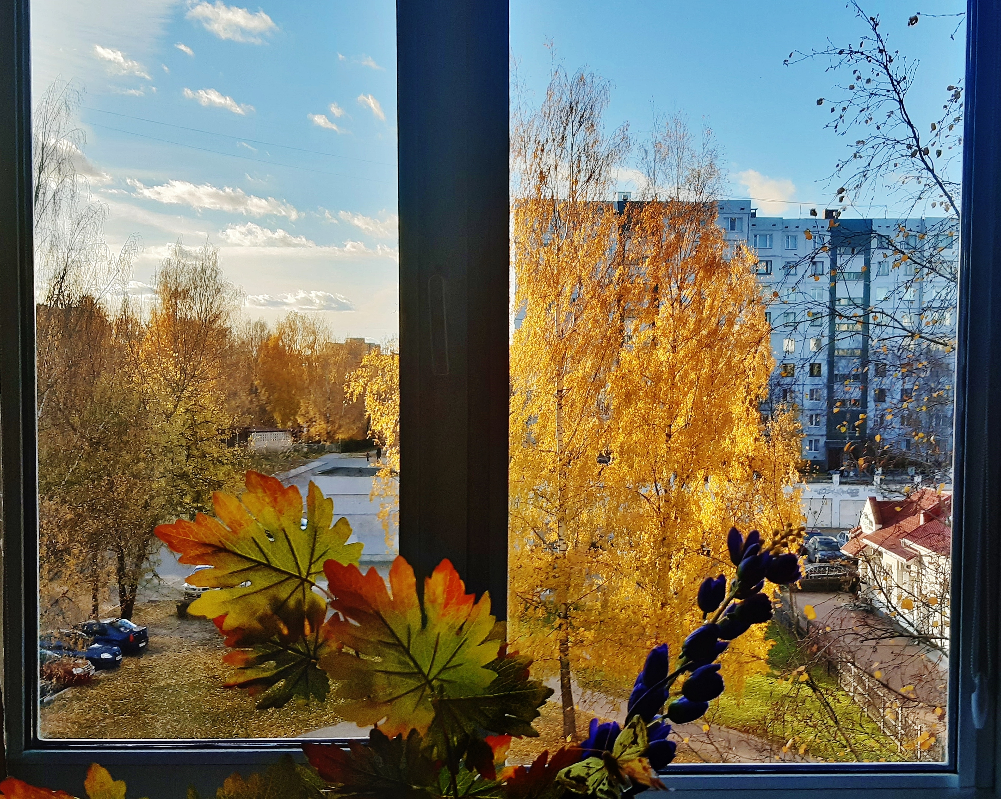Осень за окном картинки
