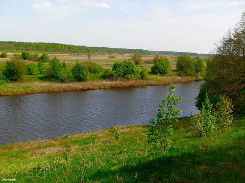 Весенний пейзаж. Река Уводь.
