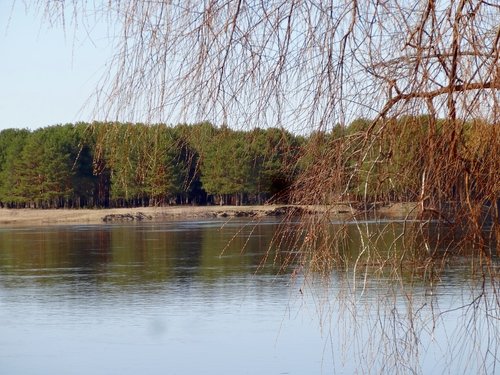 Весна на реке Клязьма