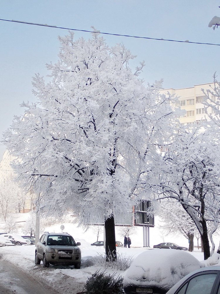 Снег в минске сегодня фото