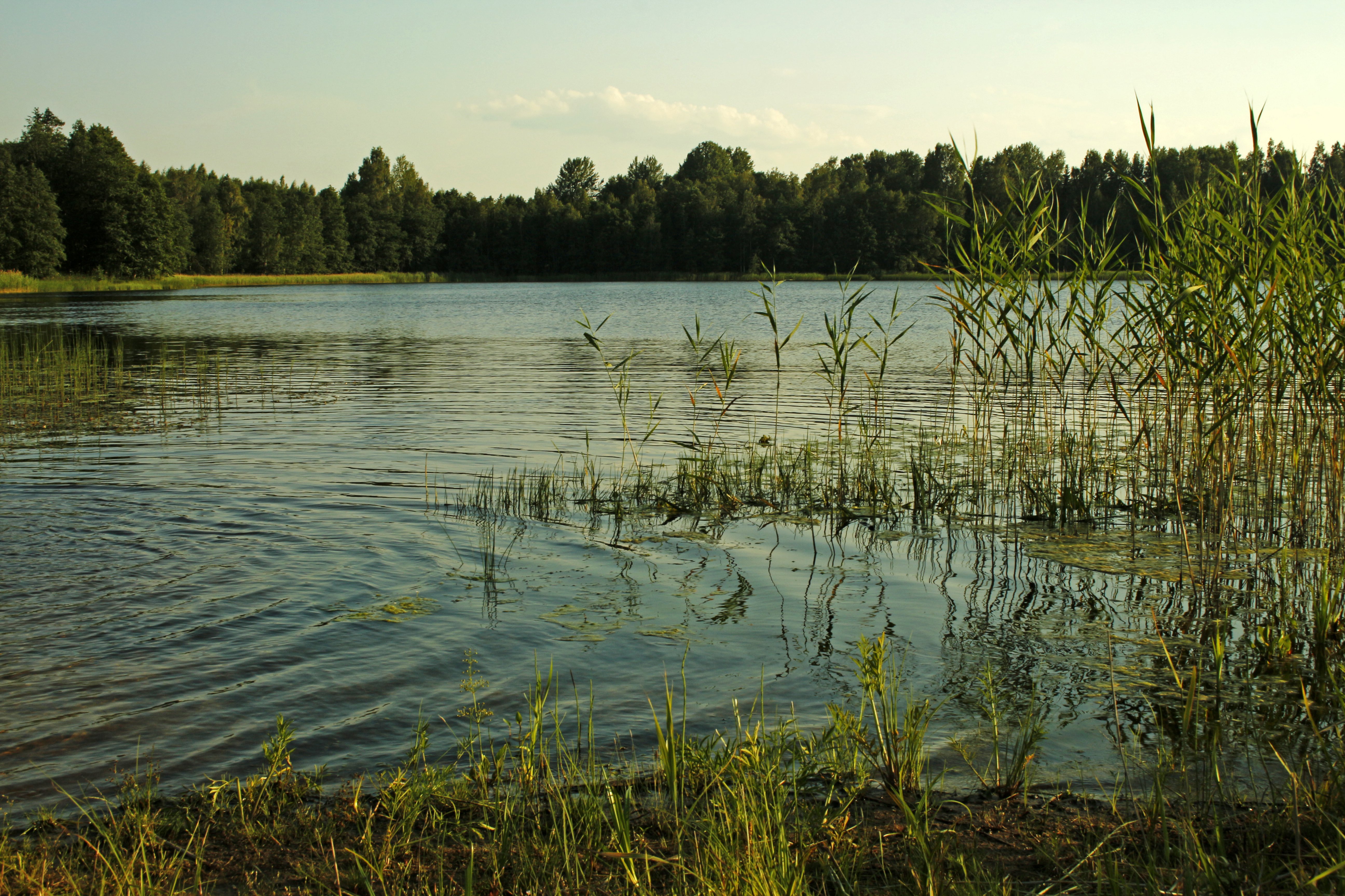 Озеро в деревне Белозерово