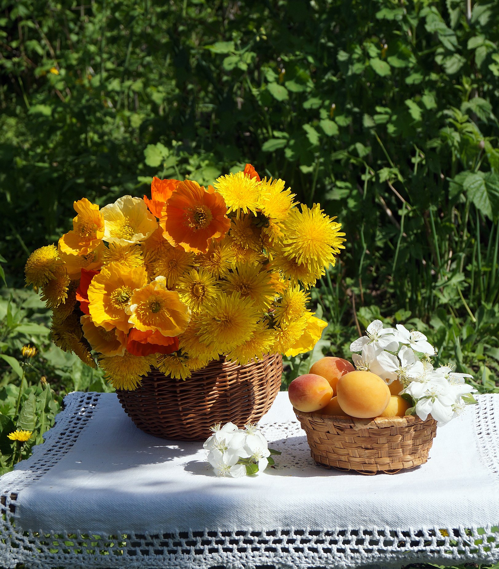 Теплого августовского дня. Солнечный цветок. Солнечный букет. Летние цветы. Августовские цветы.