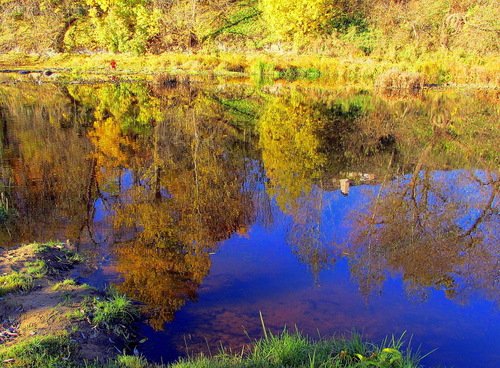 Осень отразилась в реке