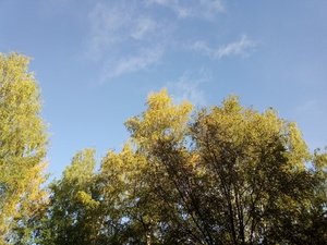 Осень в Пскове