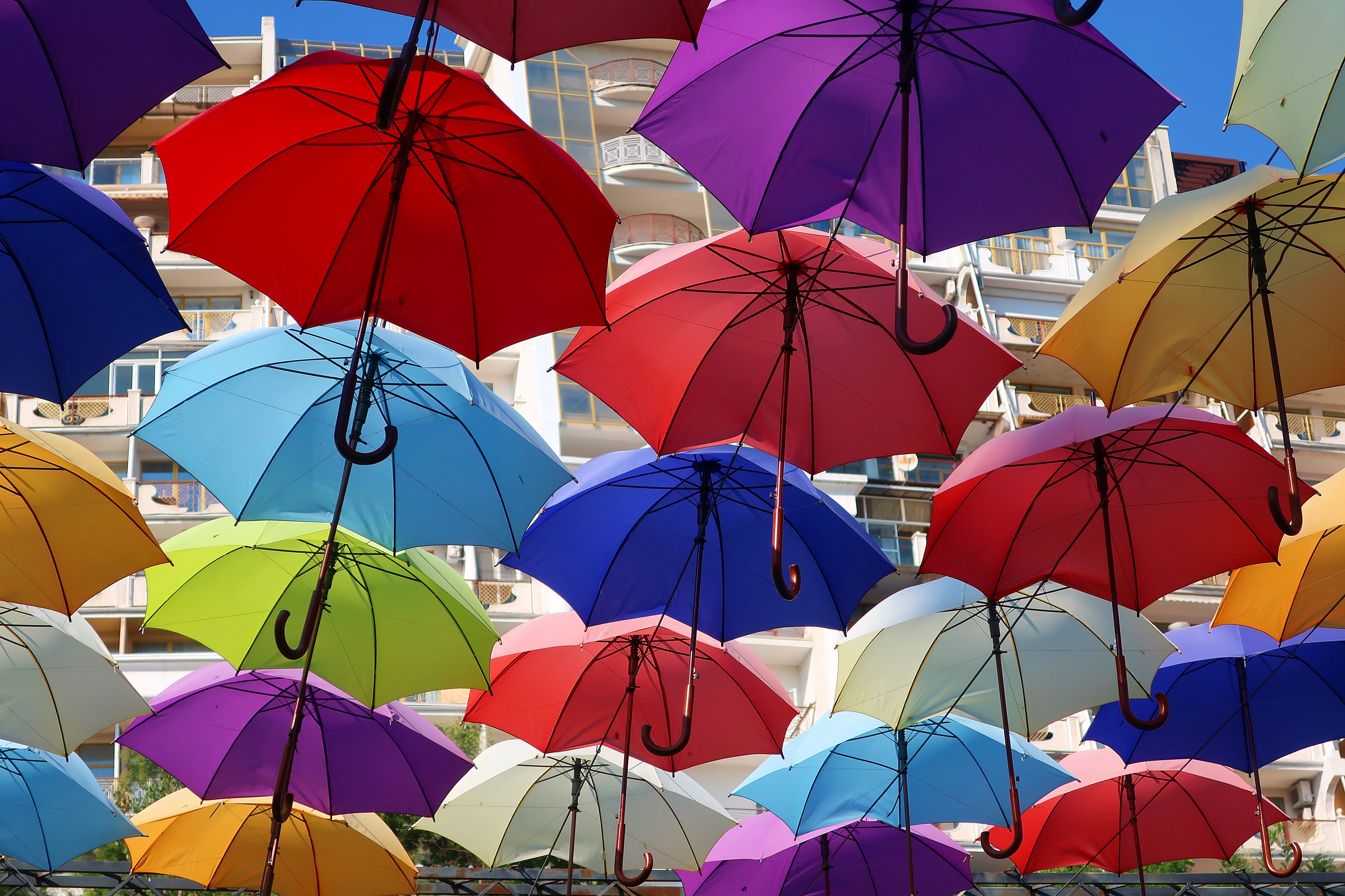 Сколько лет зонтику