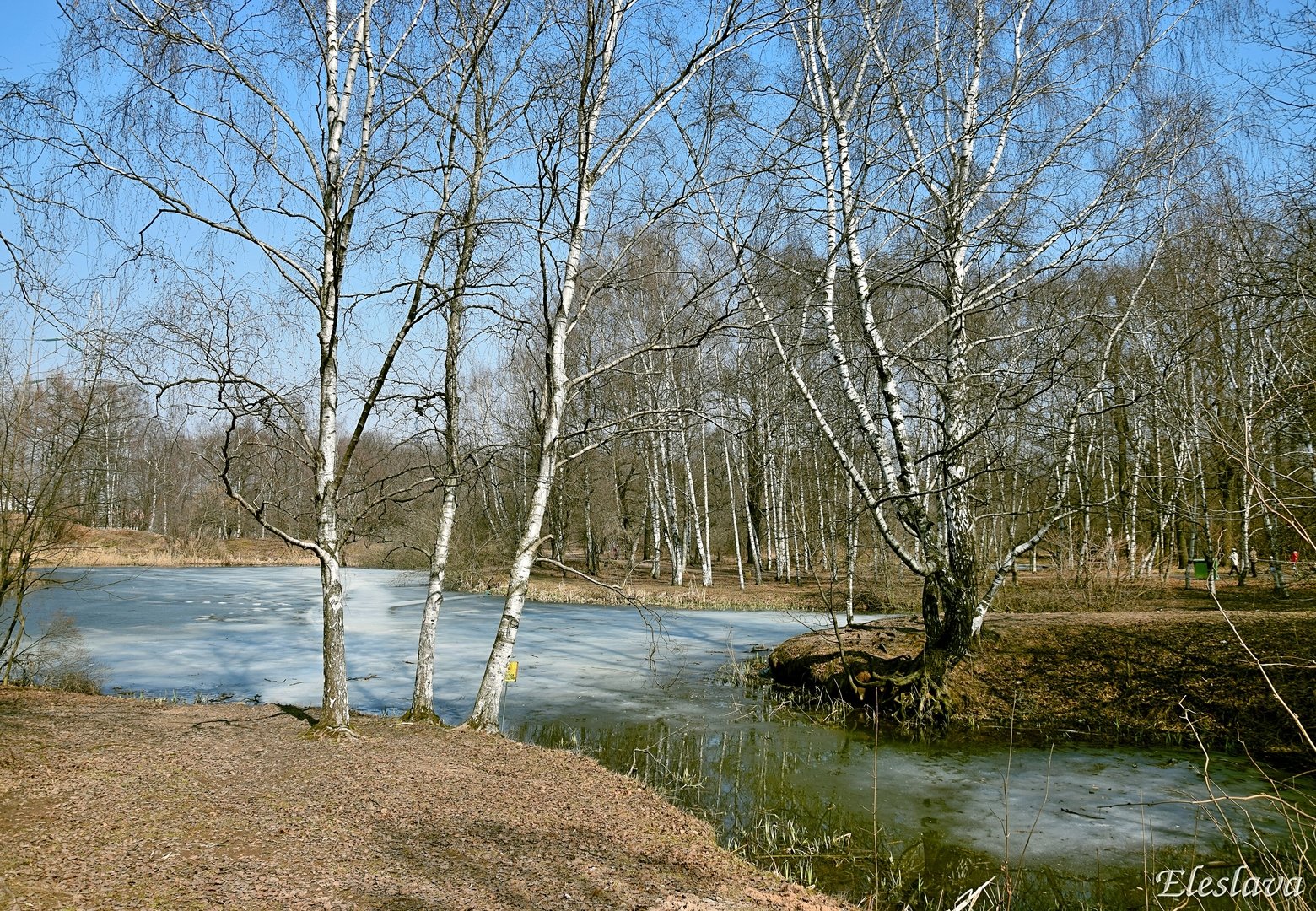 Фото Весны Красны