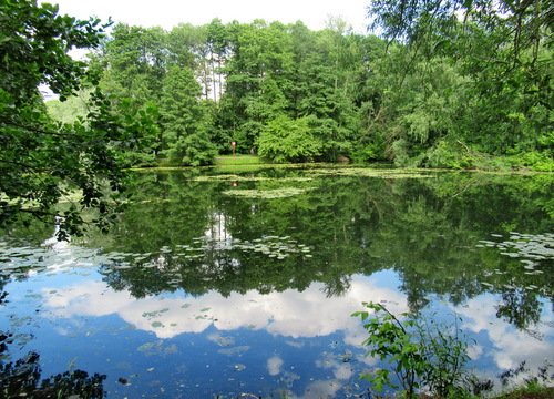 Купаться запрещено