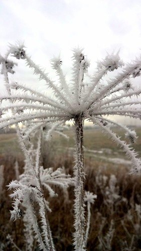 все в инеи