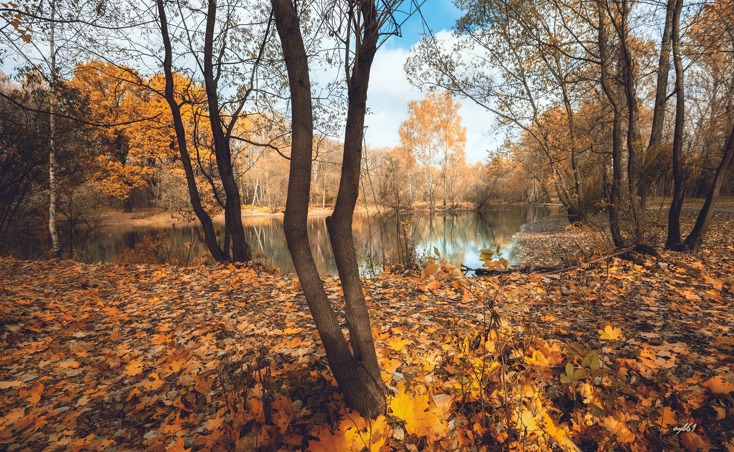 Осенний Октябрьский лес