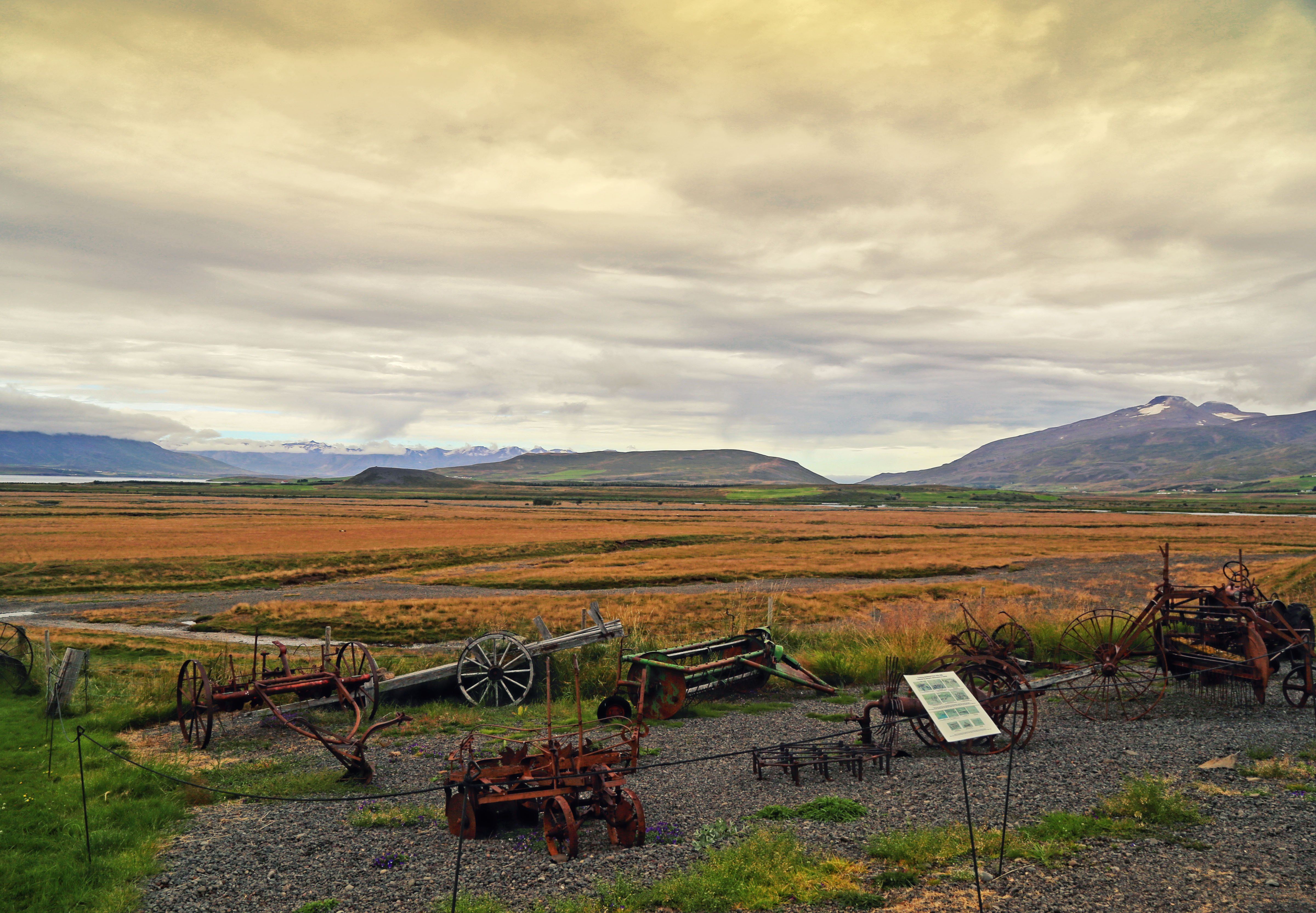 Исландские поля Новосибирск. Зандровые поля Исландии. Исландия поля фото.