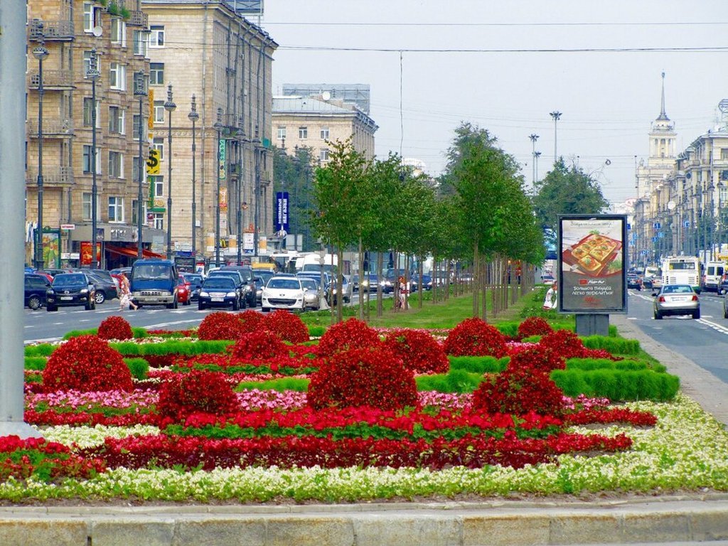 Цветники петербурга фото