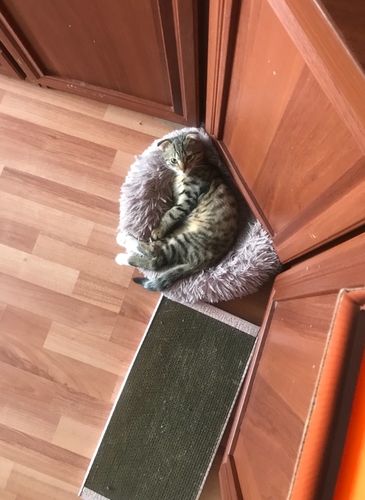 Короткий тихий час