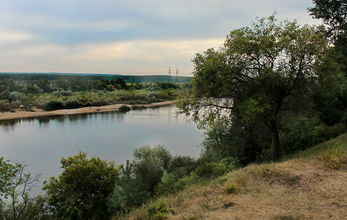 пасмурный вечер августа,река Ока