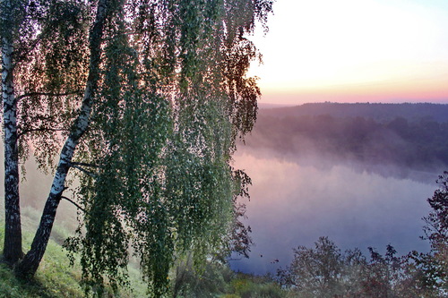 туманный рассвет,река Ока