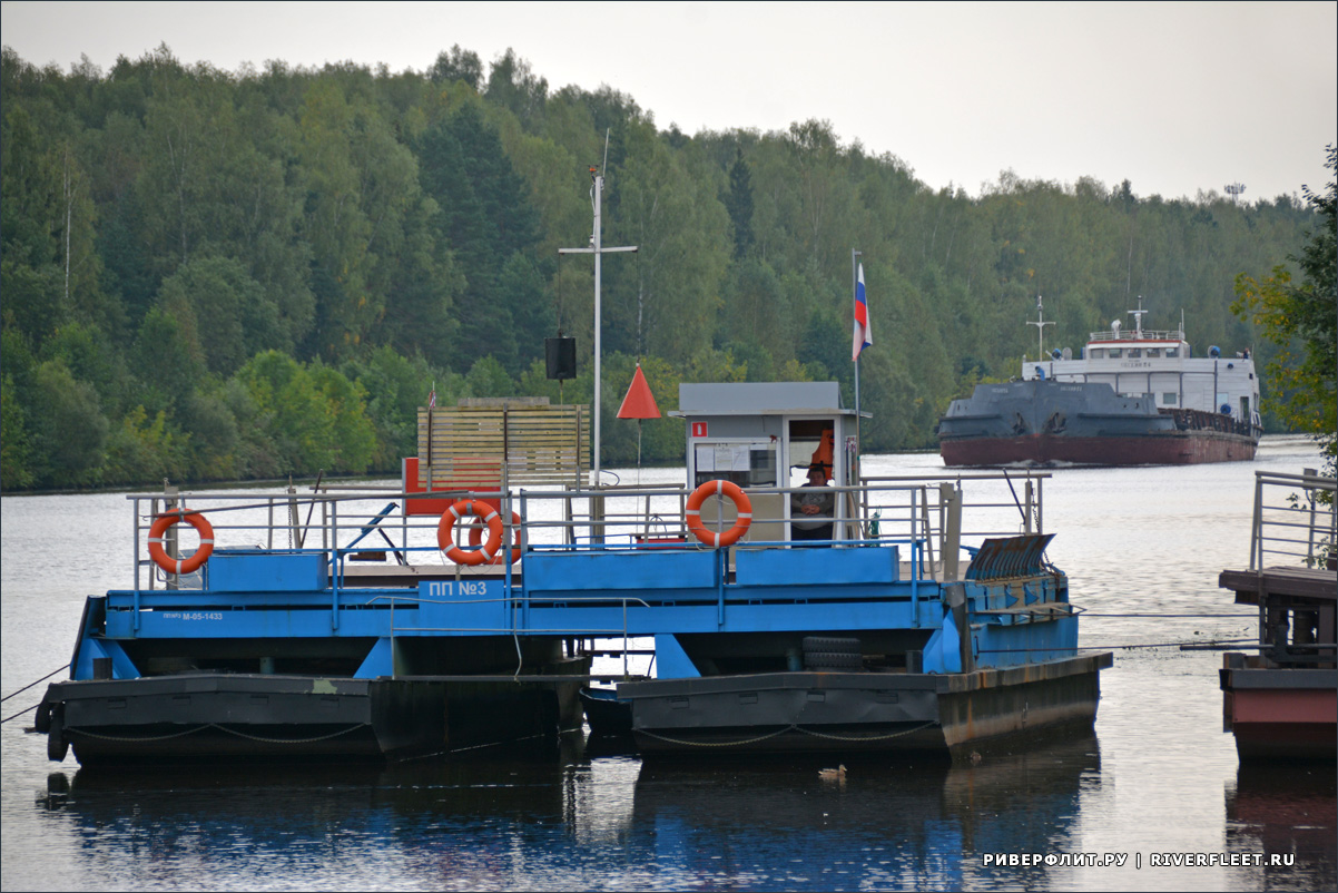 8da765568f.jpg