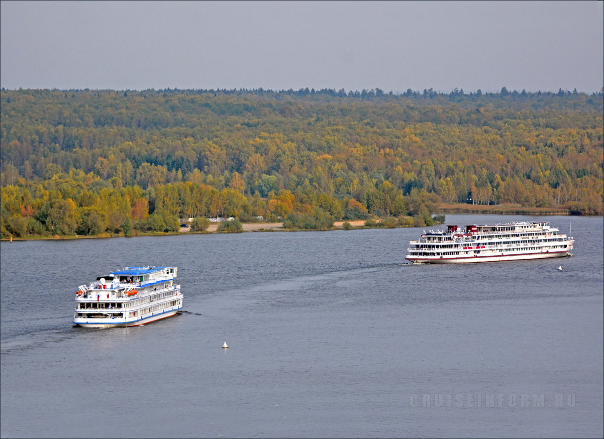 8e2279aad0.jpg