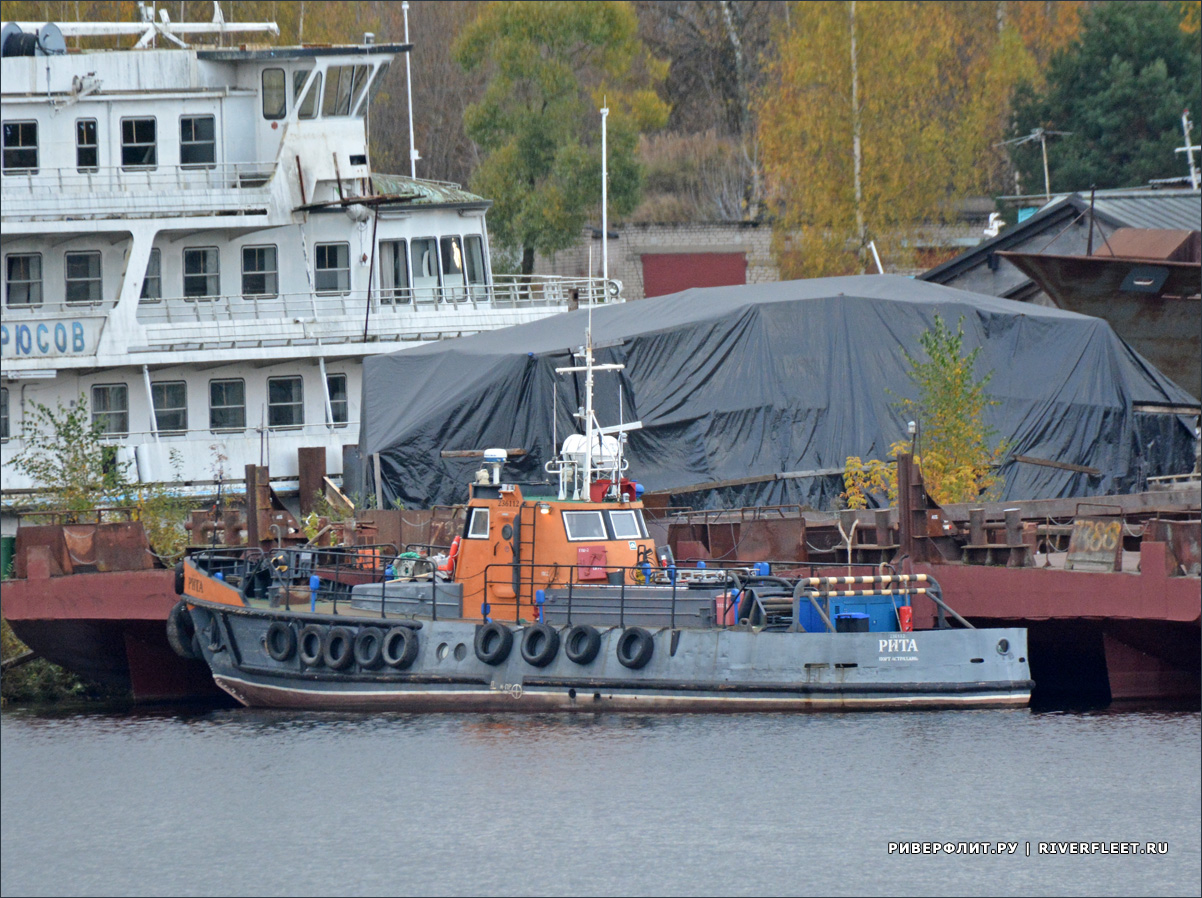 8f340864c8.jpg