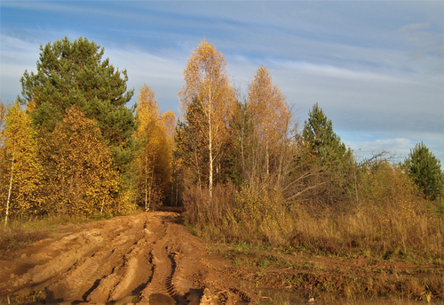 Осенними дорогами