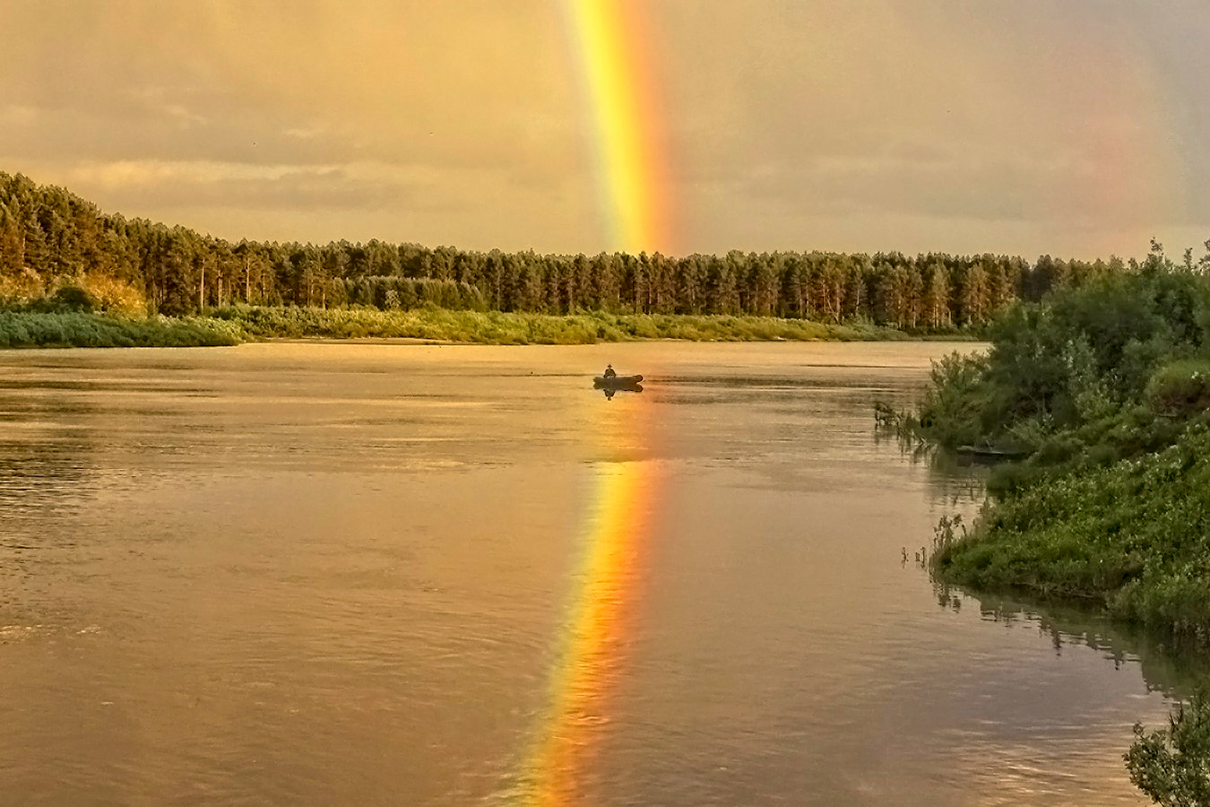 Фотоклуб. Рыбка Радуга Светлановская рядом. ТИШИНЕП.