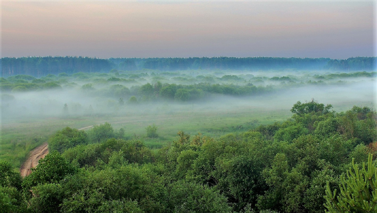 Туманная даль