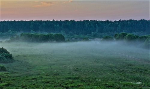 Речная долина утром