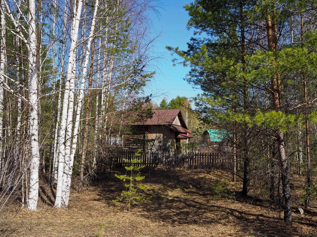 Где находится деревня лесная. Деревня Трифакино Нижегородская область. Лесная деревня. Деревня Лесной Уфа. Лесная деревня Мурманск.