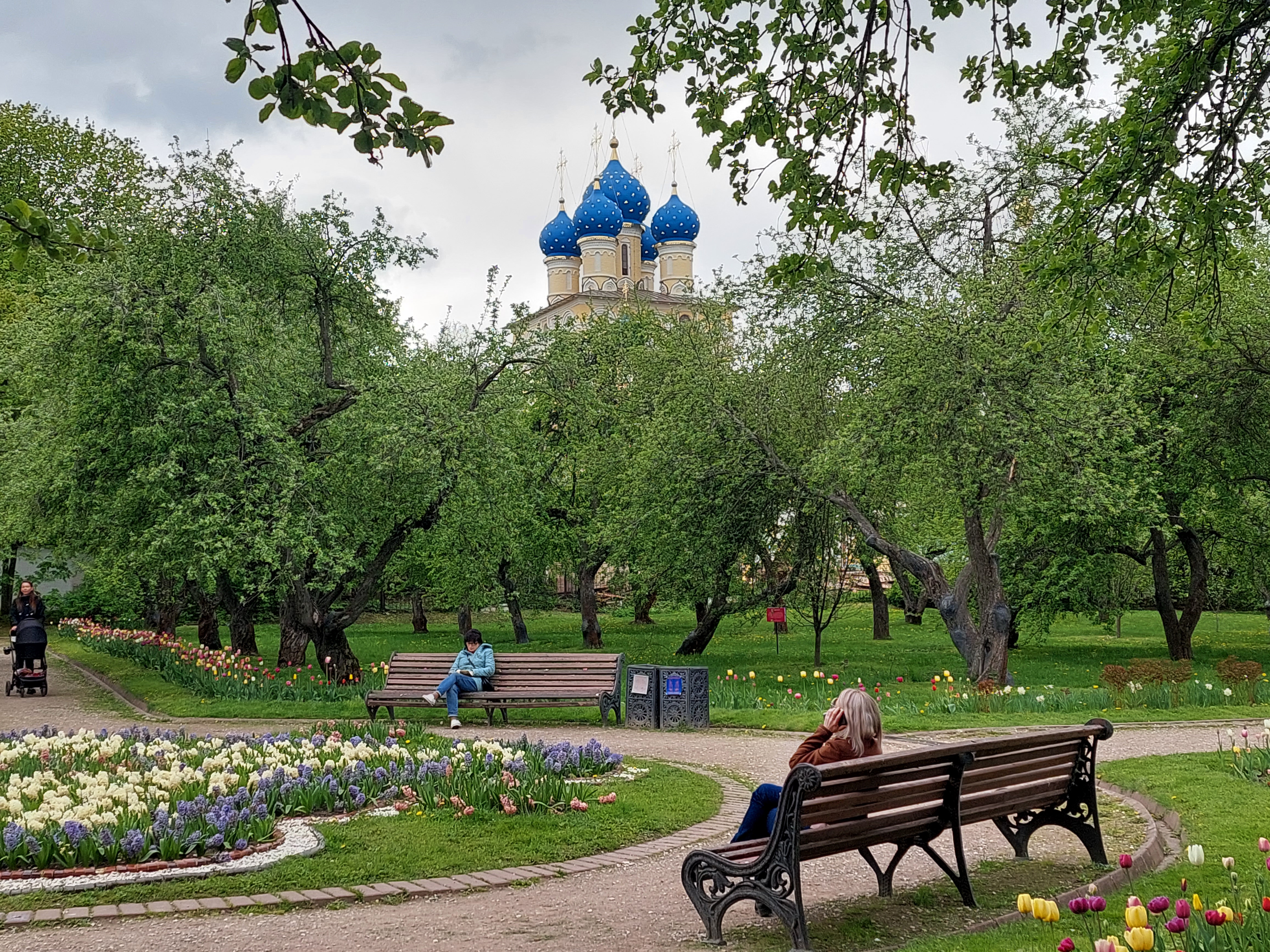 Самые красивые парки москвы весной фото