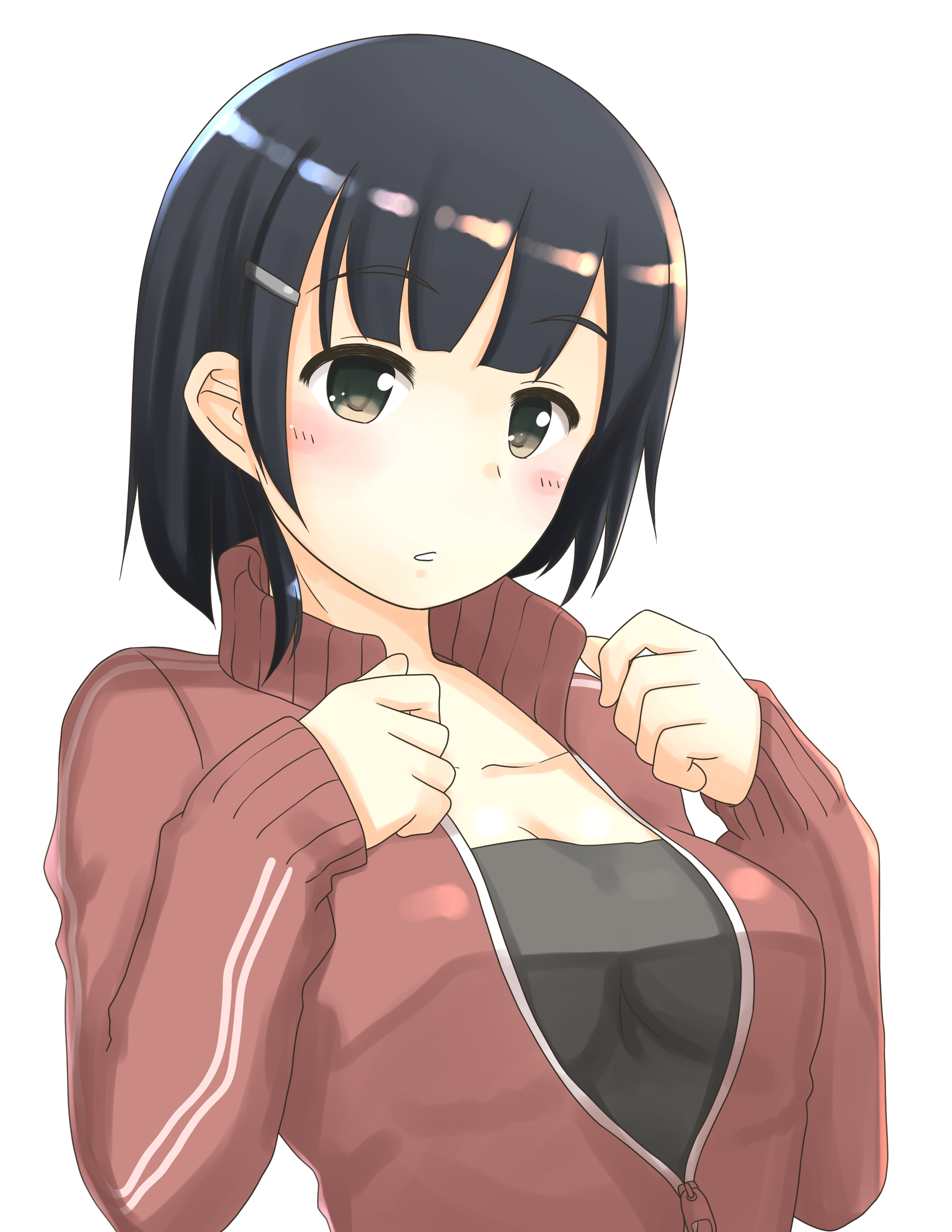Sanagi Torajiro