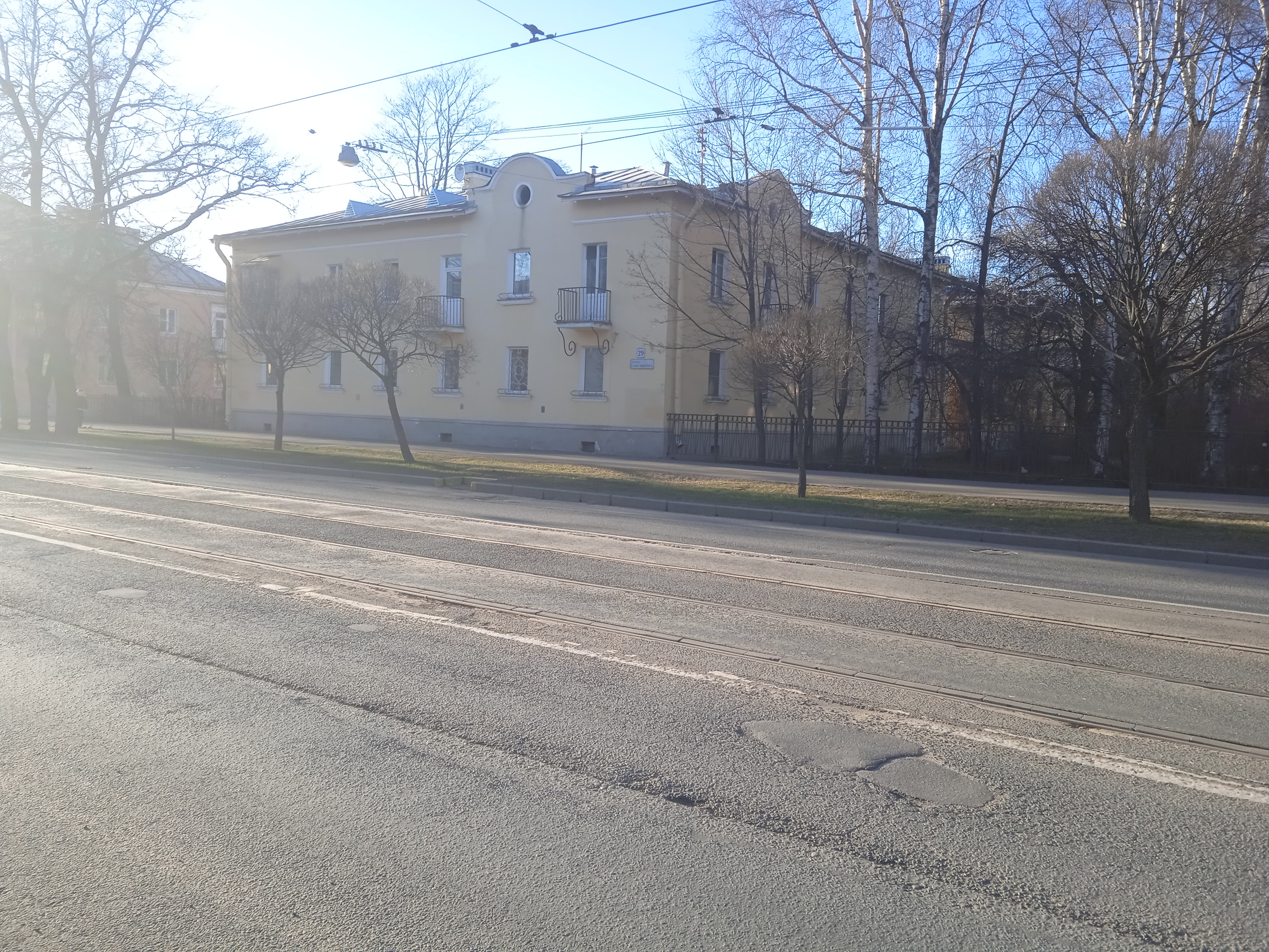 ул. Савушкина 29