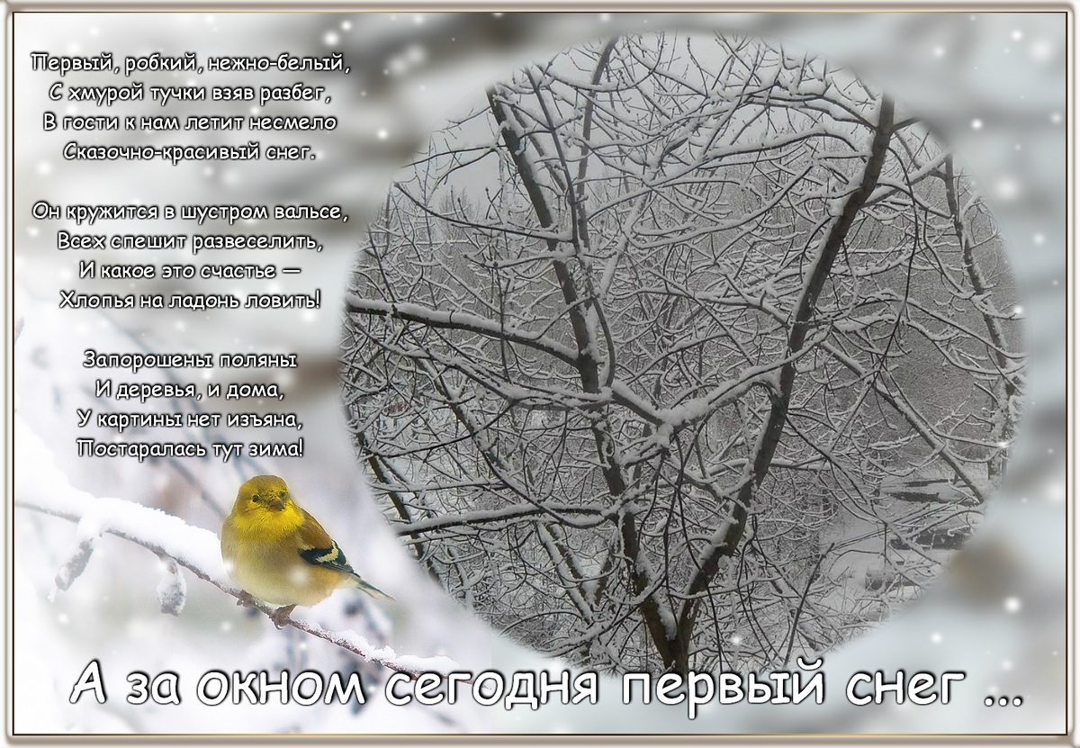 Тихо возится под снегом робкая мышь. Робкий снег. Красивые романтические слова . Прекрасен первый робкий снежок.