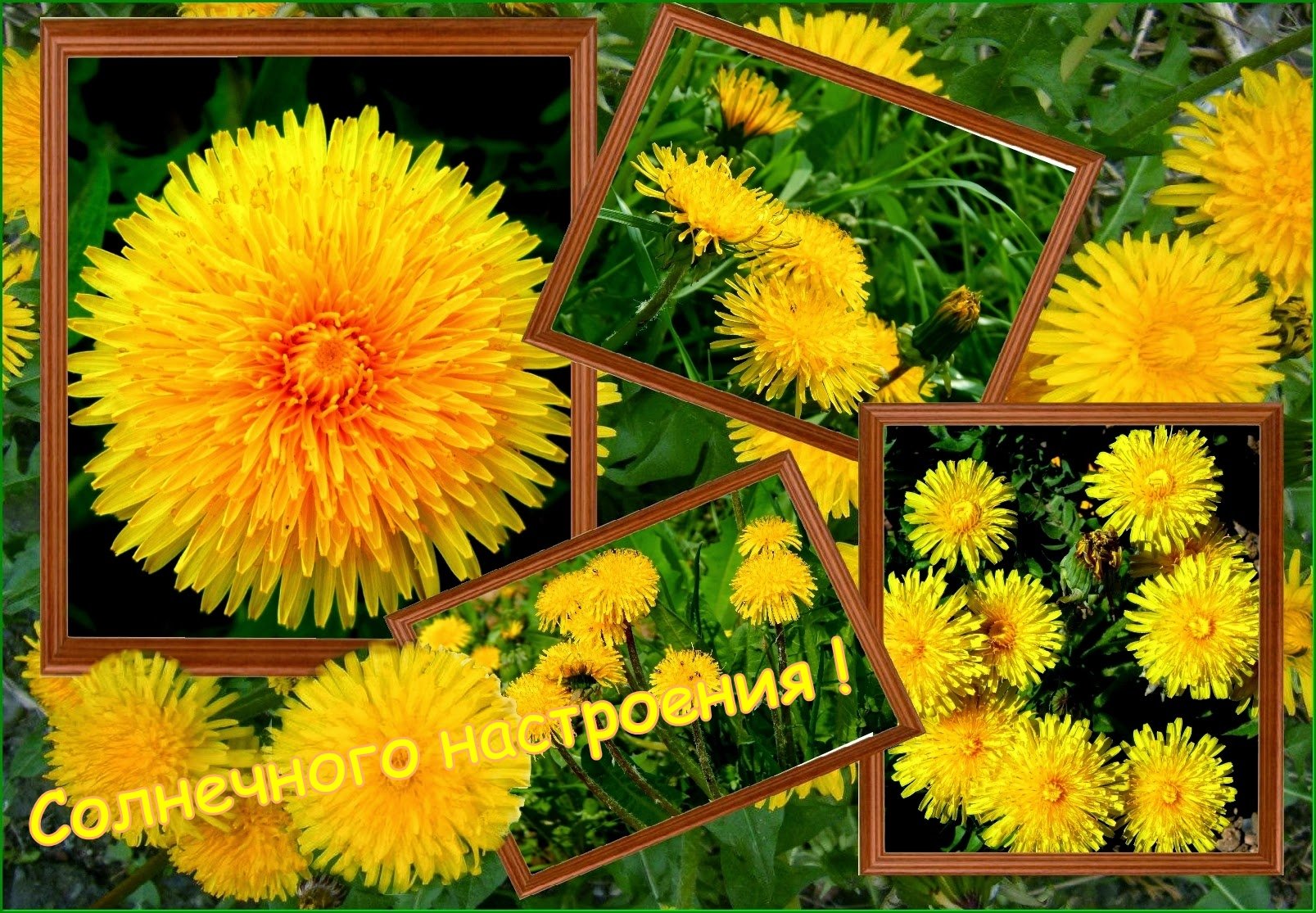 Солнечного настроения