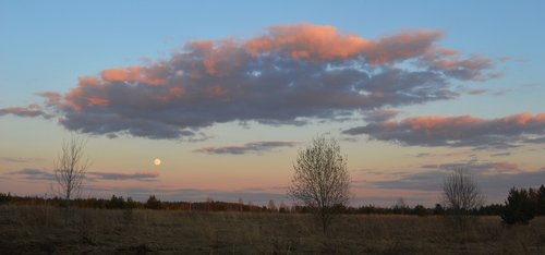 ЛУЧШИЕ ФОТОГРАФИИ