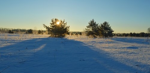 ЛУЧШИЕ ФОТОГРАФИИ