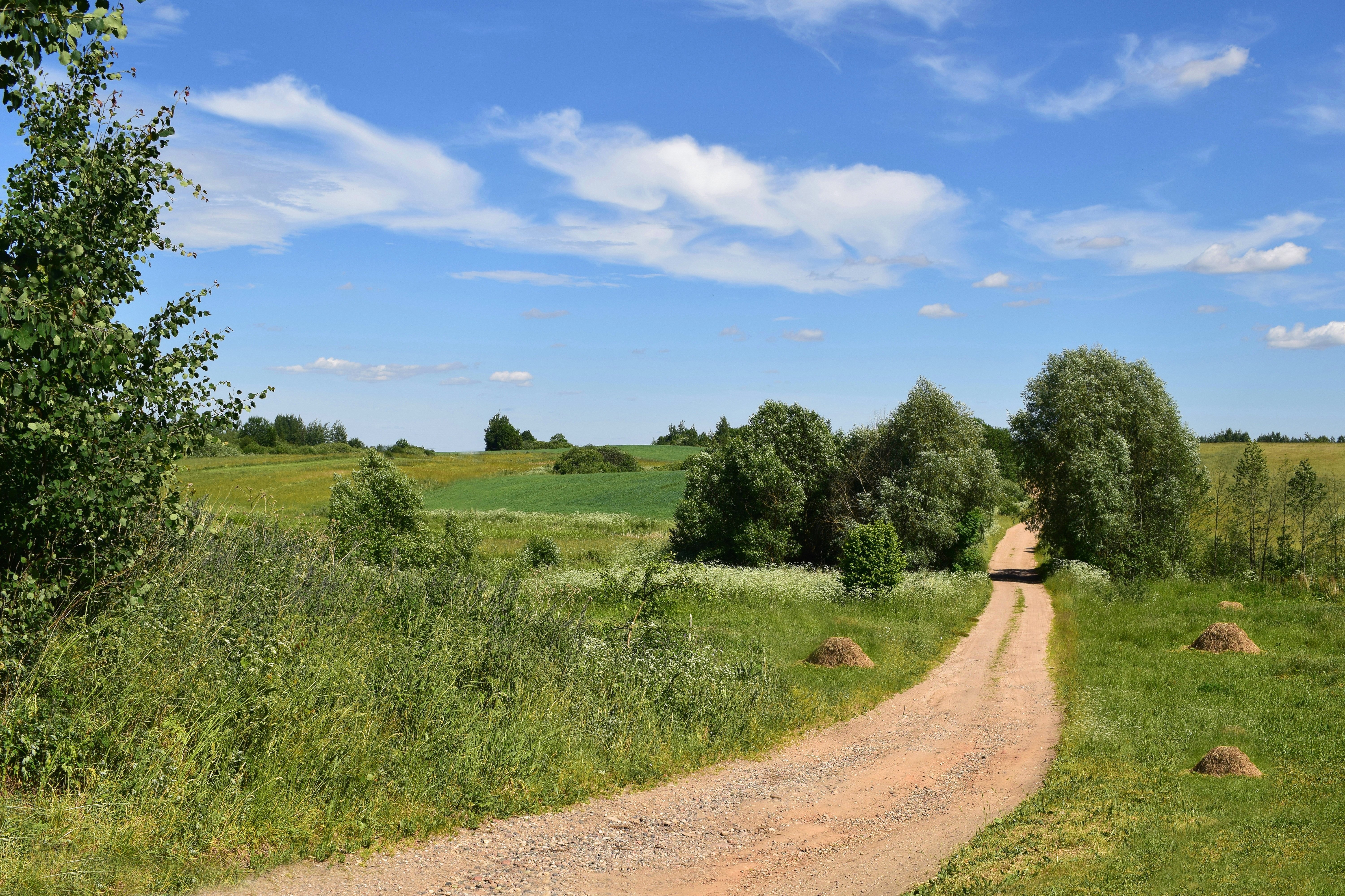 Село полом нижегородская область. Поле деревня. Деревенская дорога. Сливовая деревня.