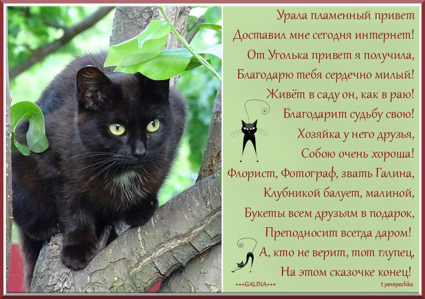 Пламенный значение слова. Пылая что значит. Пылая что значит. Огонь значение в истории. Мой пламенный привет картинки.