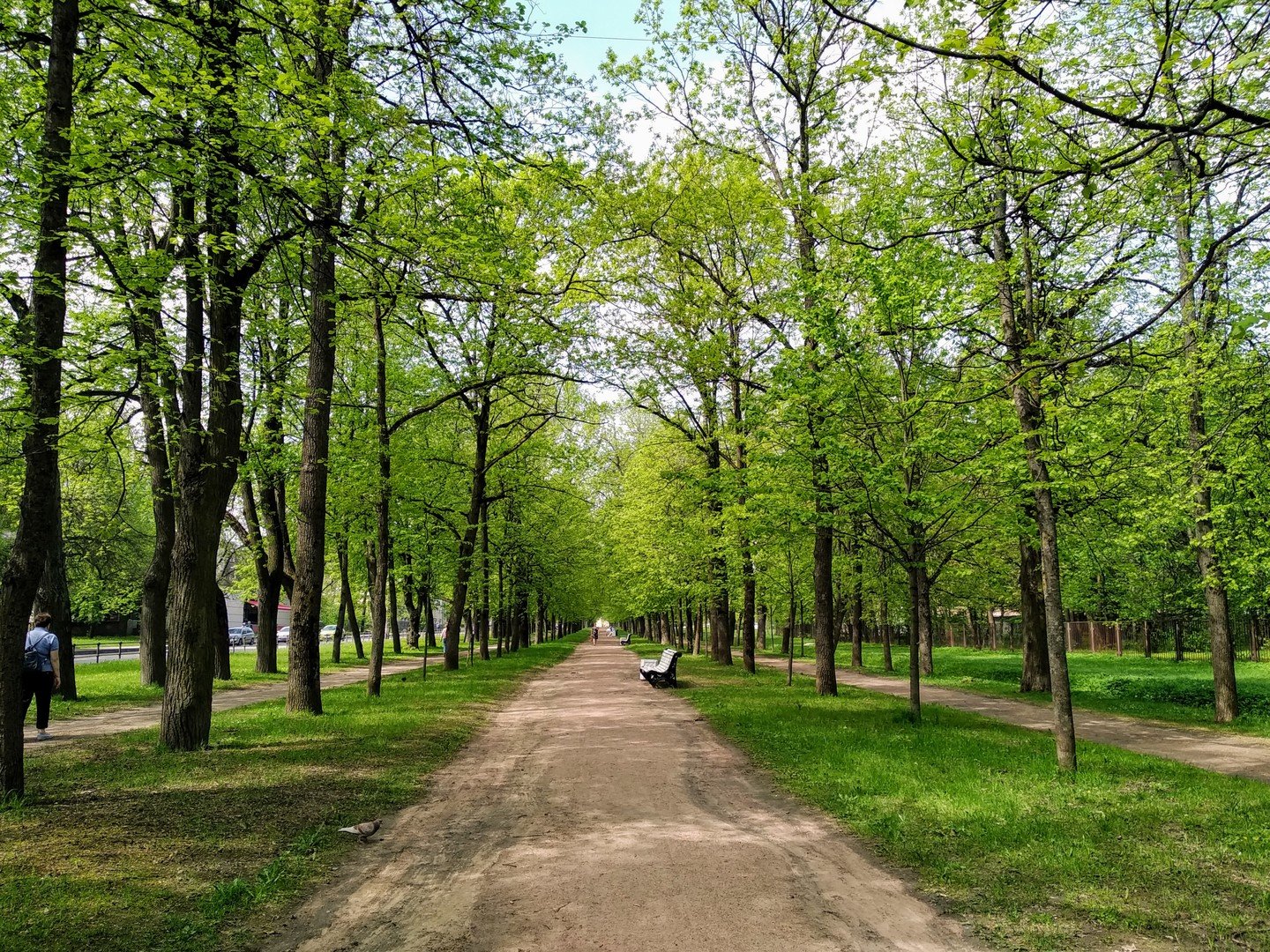 Октябрьский бульвар. Бульвар. По бульварам.