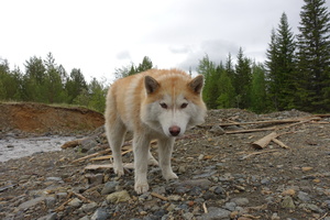 Поехали уже...
