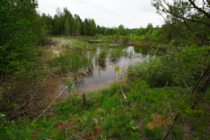 Уральские мотивы...