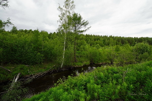 Уральские мотивы...