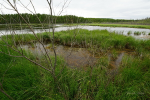 Уральские мотивы...