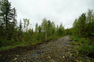 Уральские мотивы...