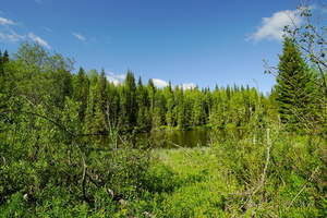 Уральские мотивы...