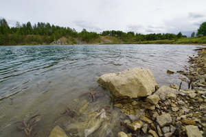 Уральские мотивы...