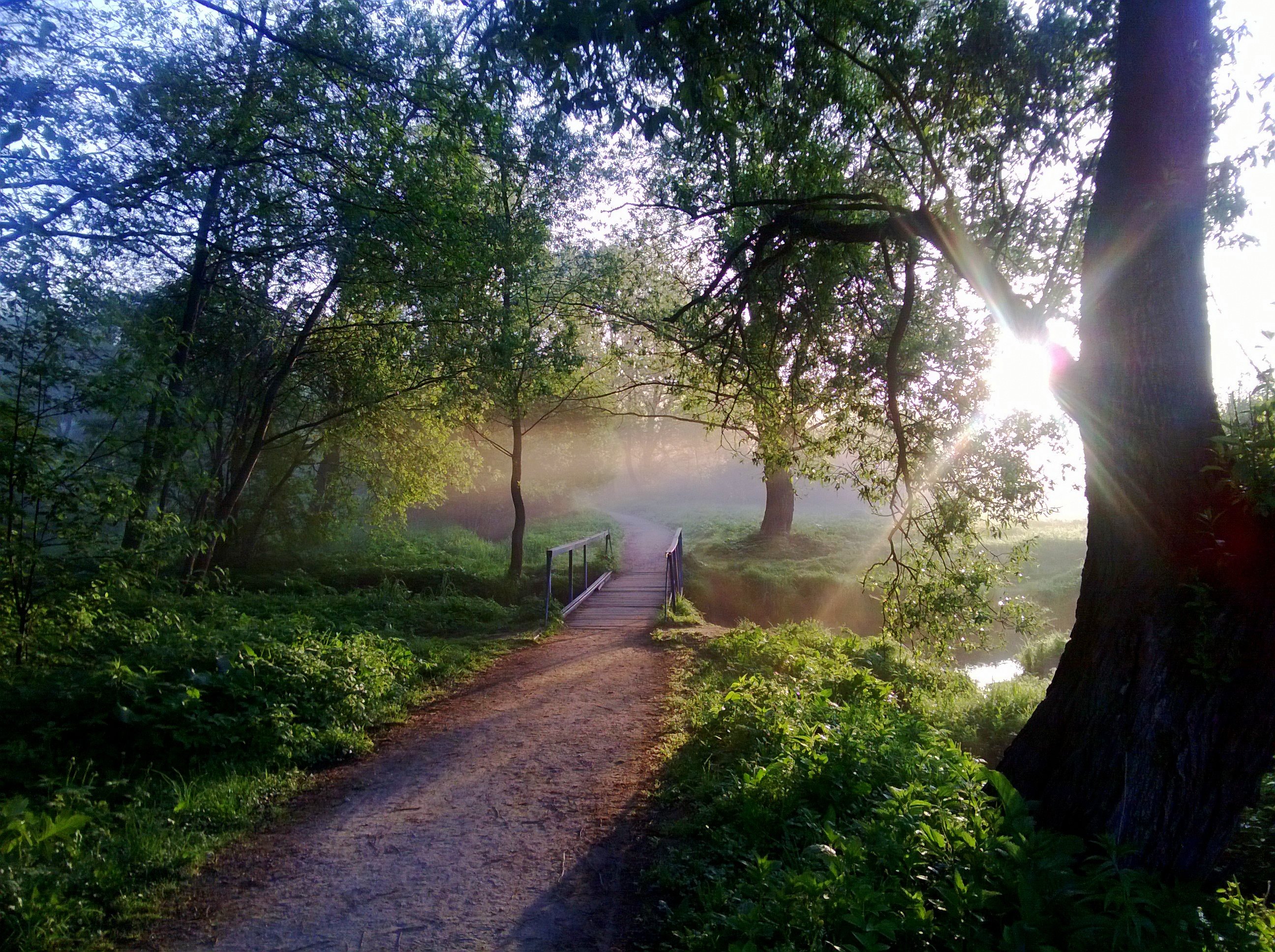 Утро май фото