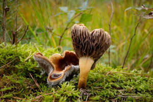 В октябрьской сырости...