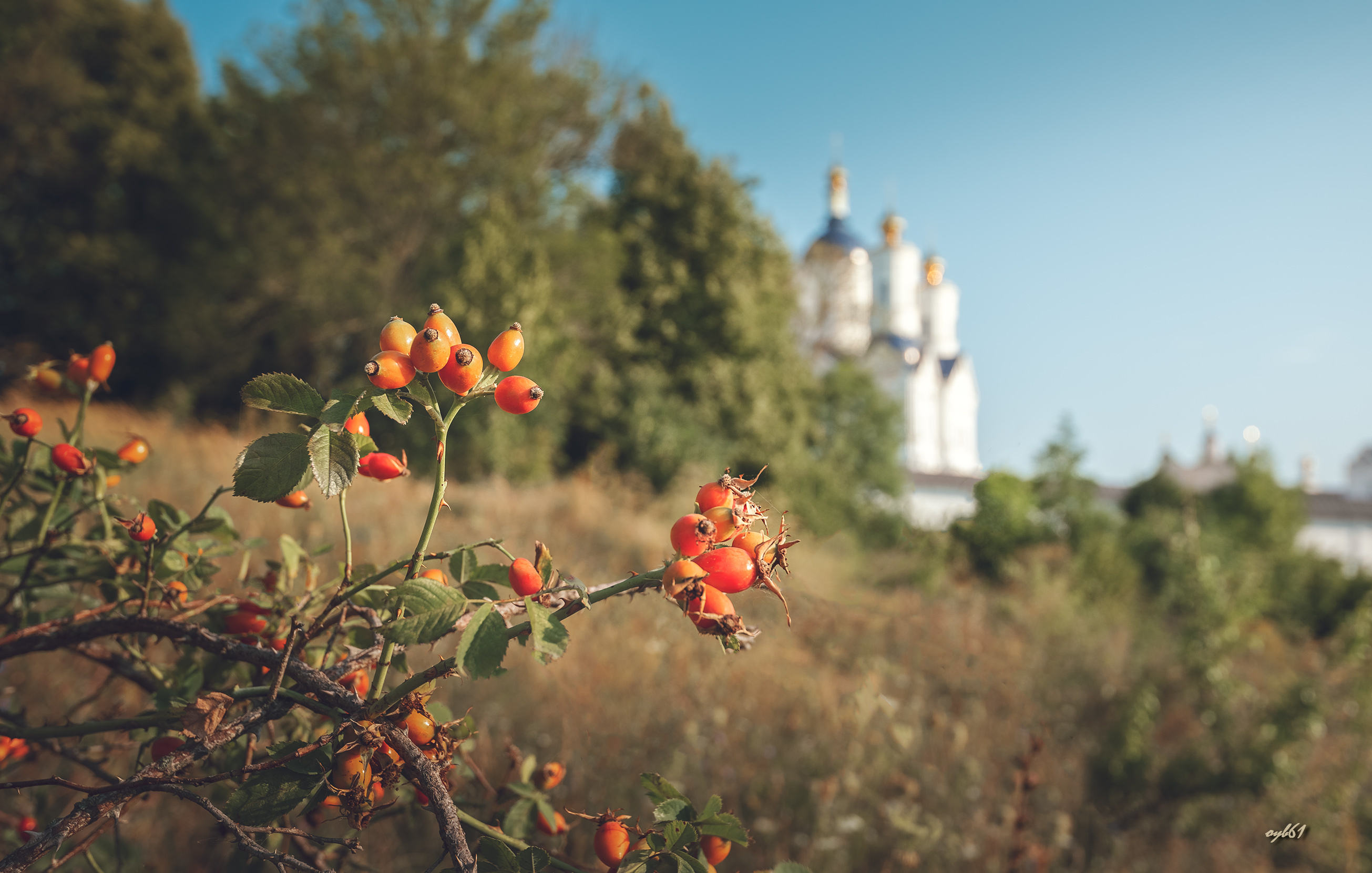 Фото конца лета