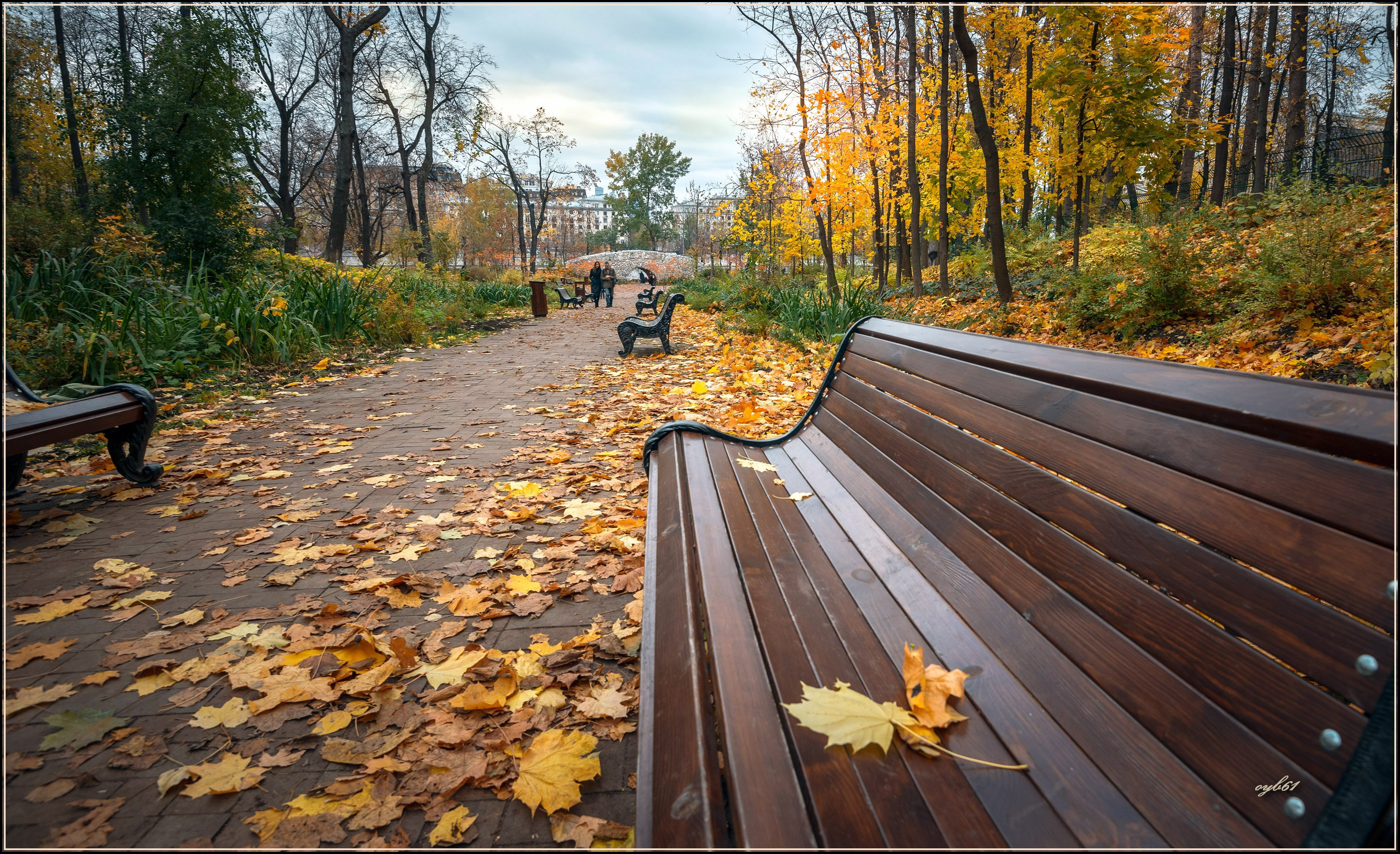 Осеннее Настроение Фото