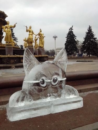 Кот учёный. Ледяная скульптура.