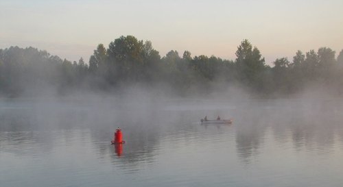 Утро.Туман на реке Свирь