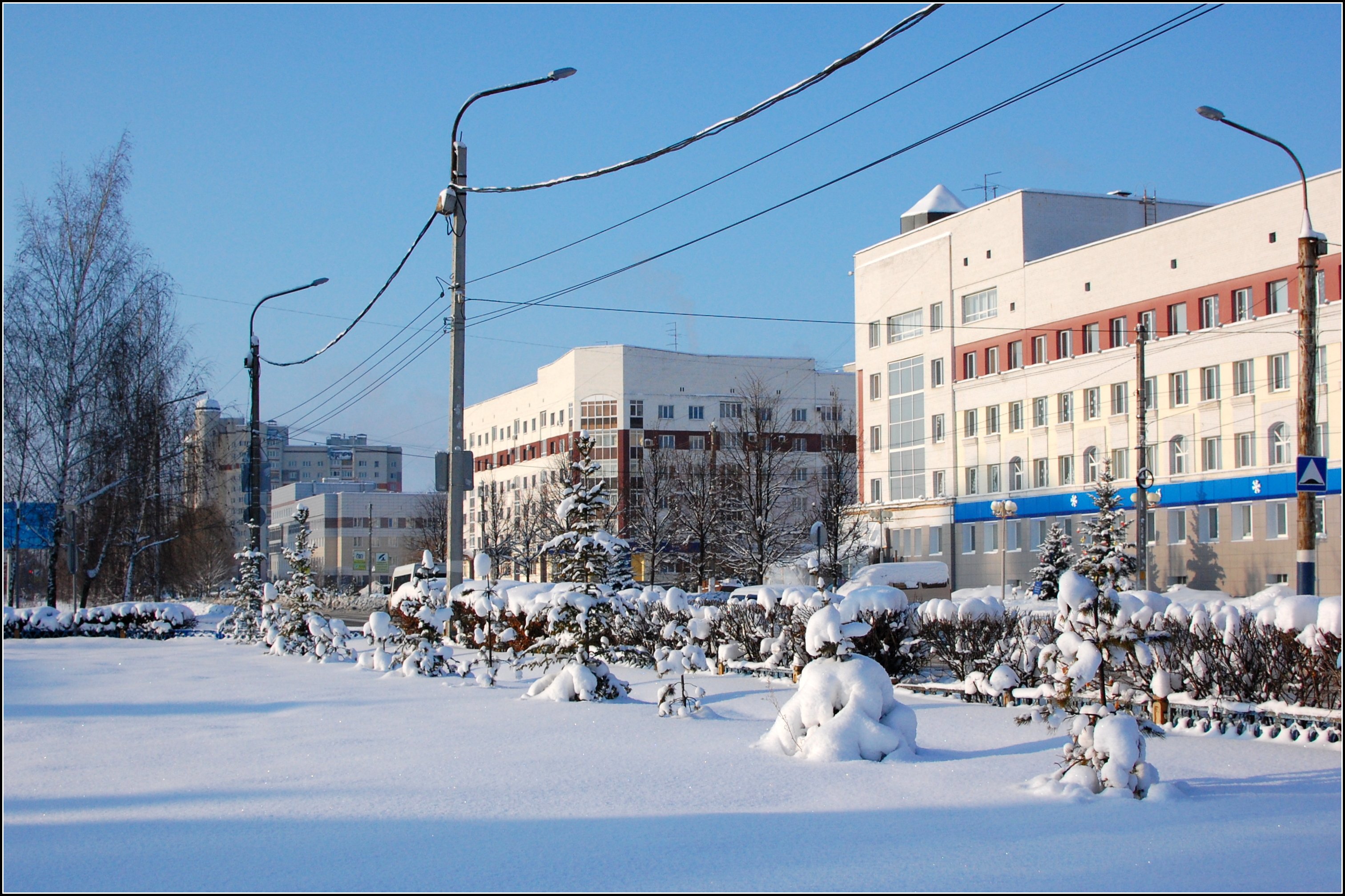 Работа на крахмалева брянск. Брянск,ул.Крахмалева,53. Крахмалева 53 Брянск. Крахмалева 53 налоговая Брянск. Брянск ул Крахмалева 53 фотографии.